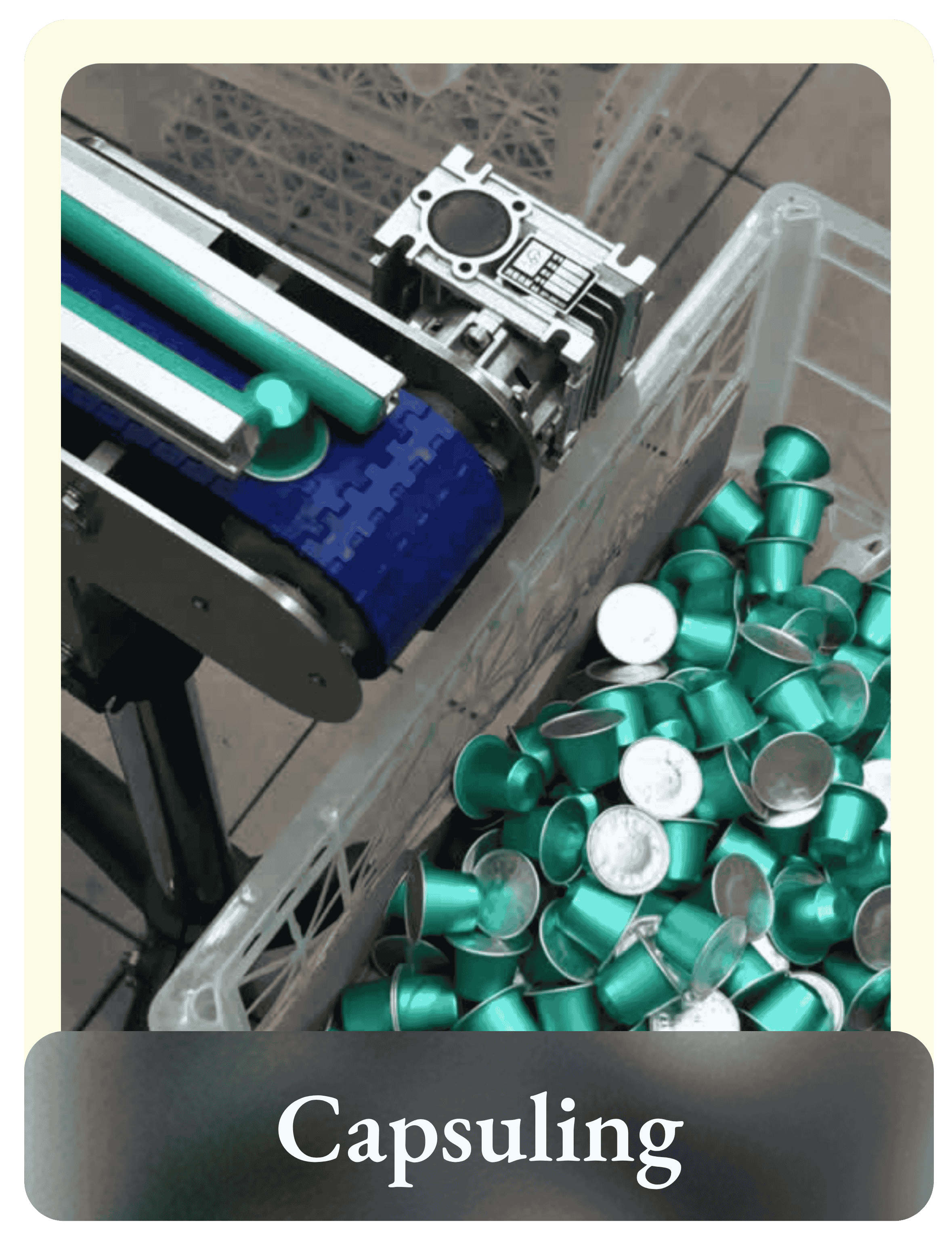 Filter Bag A