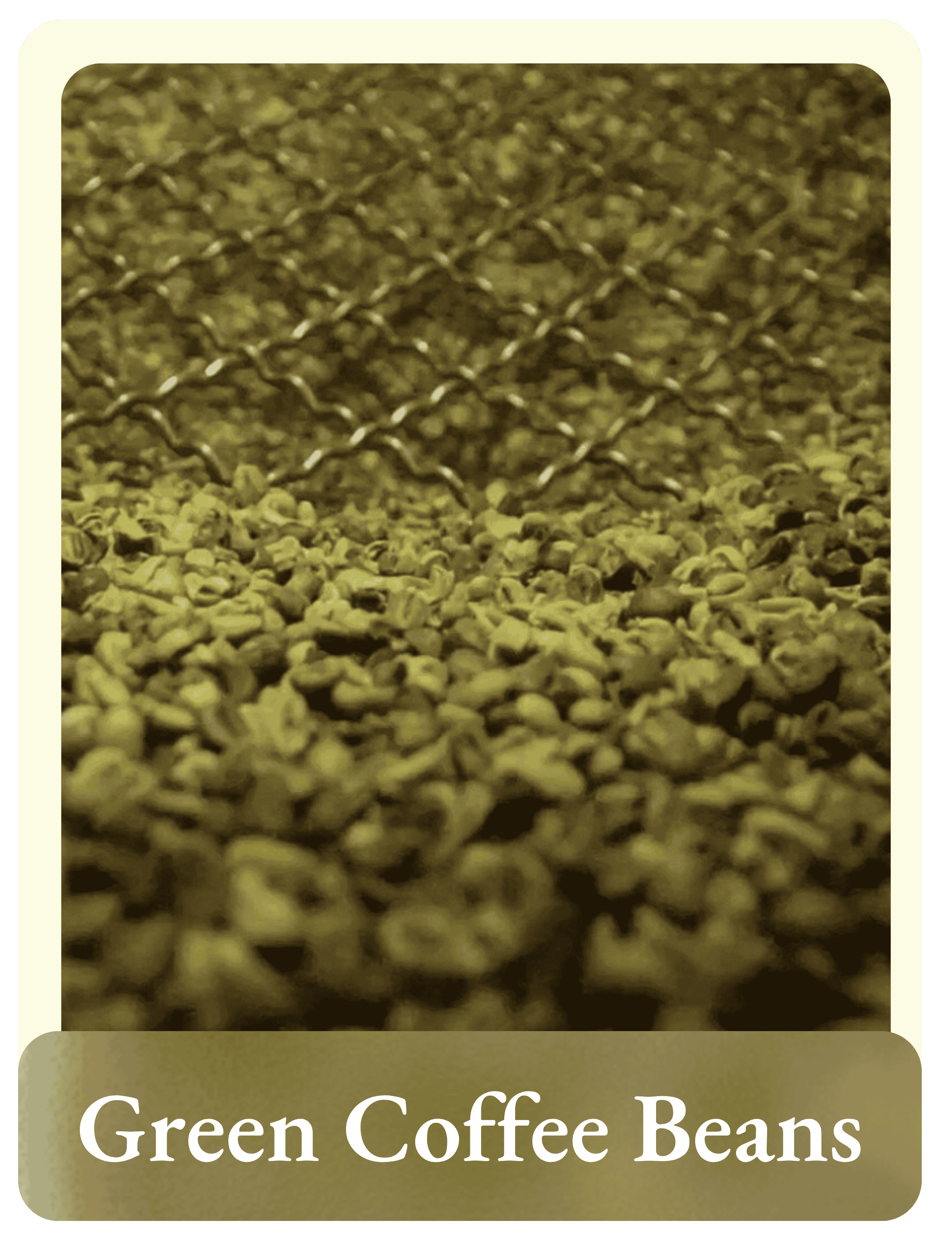 Filter Bag A